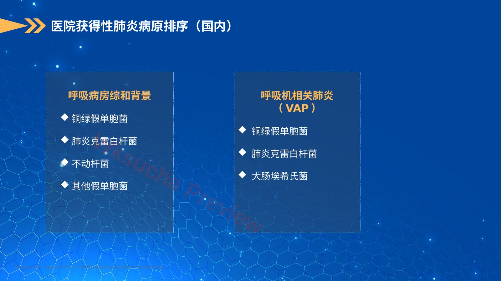 预览第 13 页