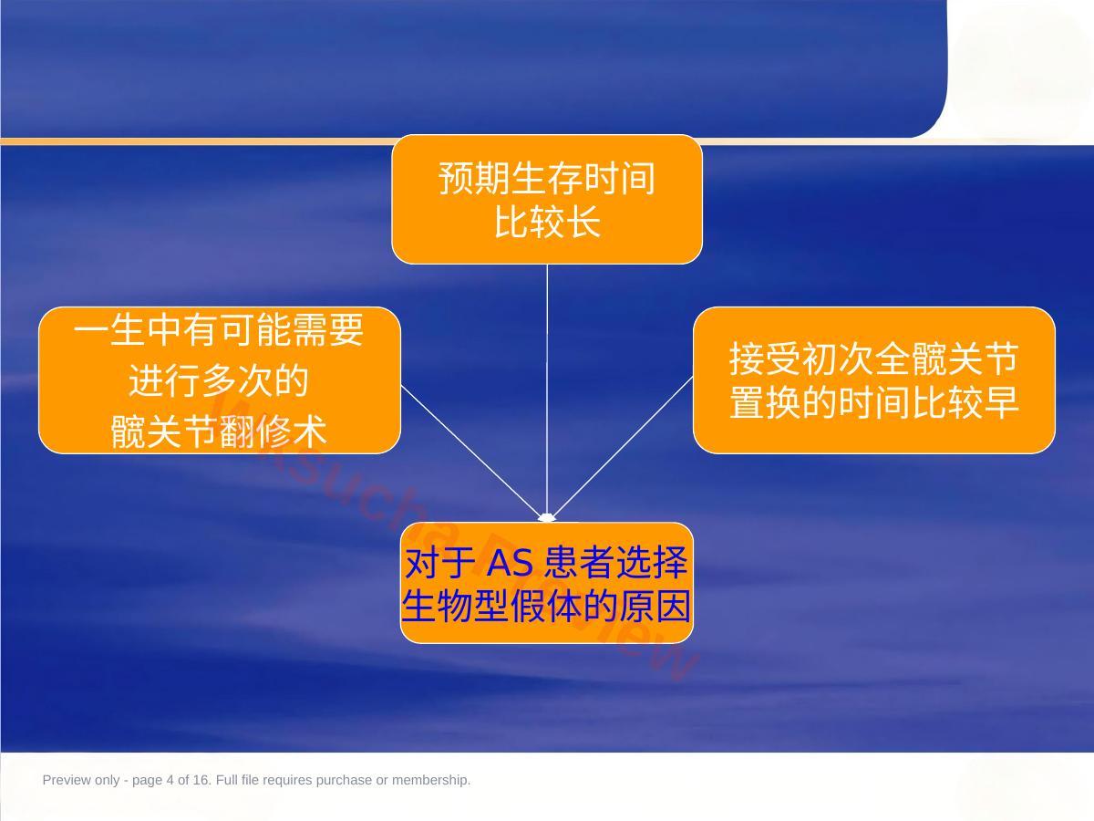 预览第 4 页