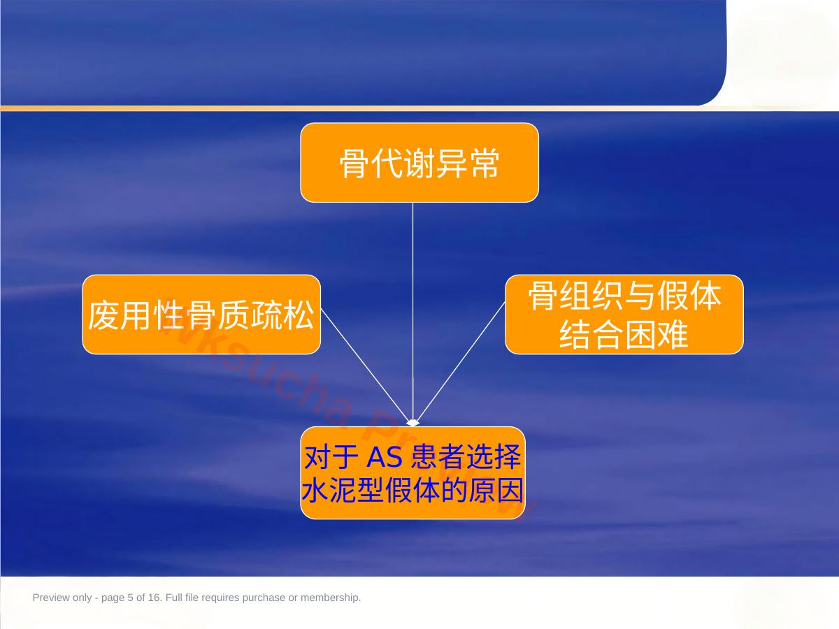 预览第 5 页