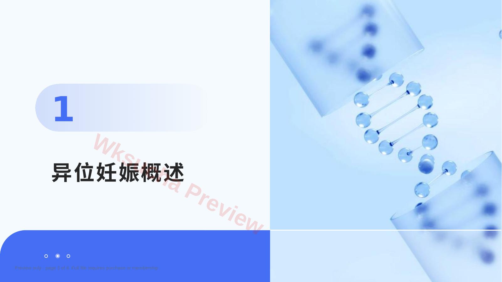 预览第 3 页