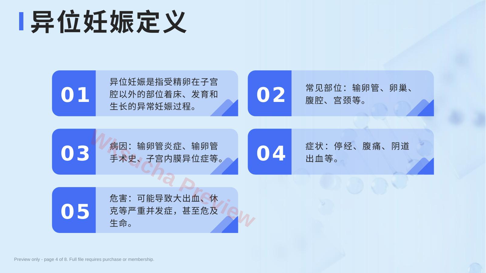 预览第 4 页