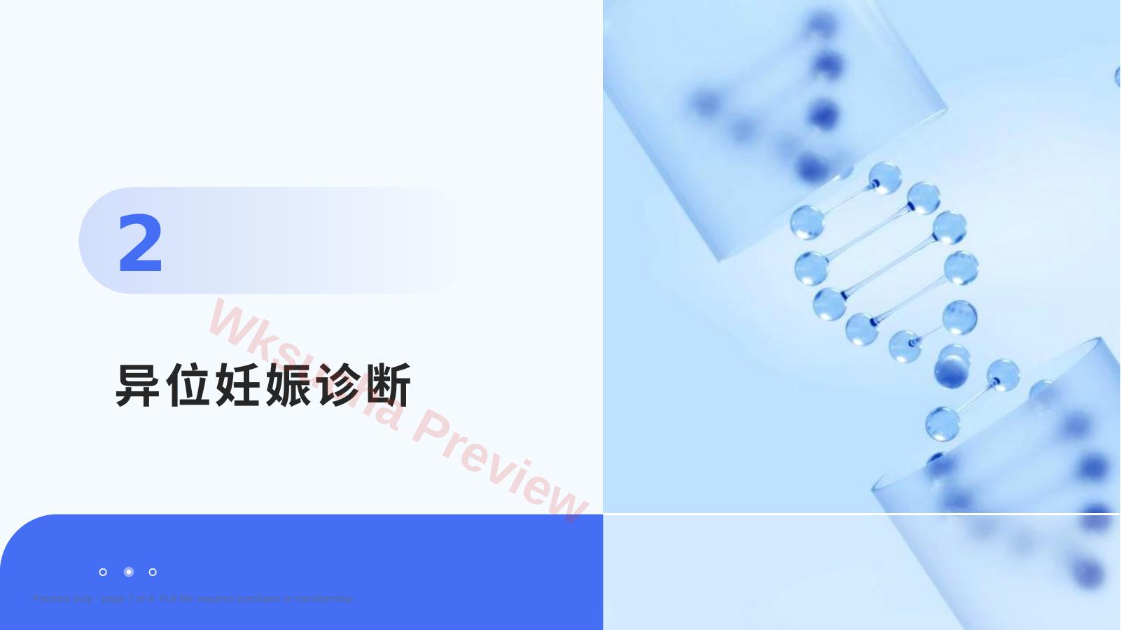 预览第 7 页