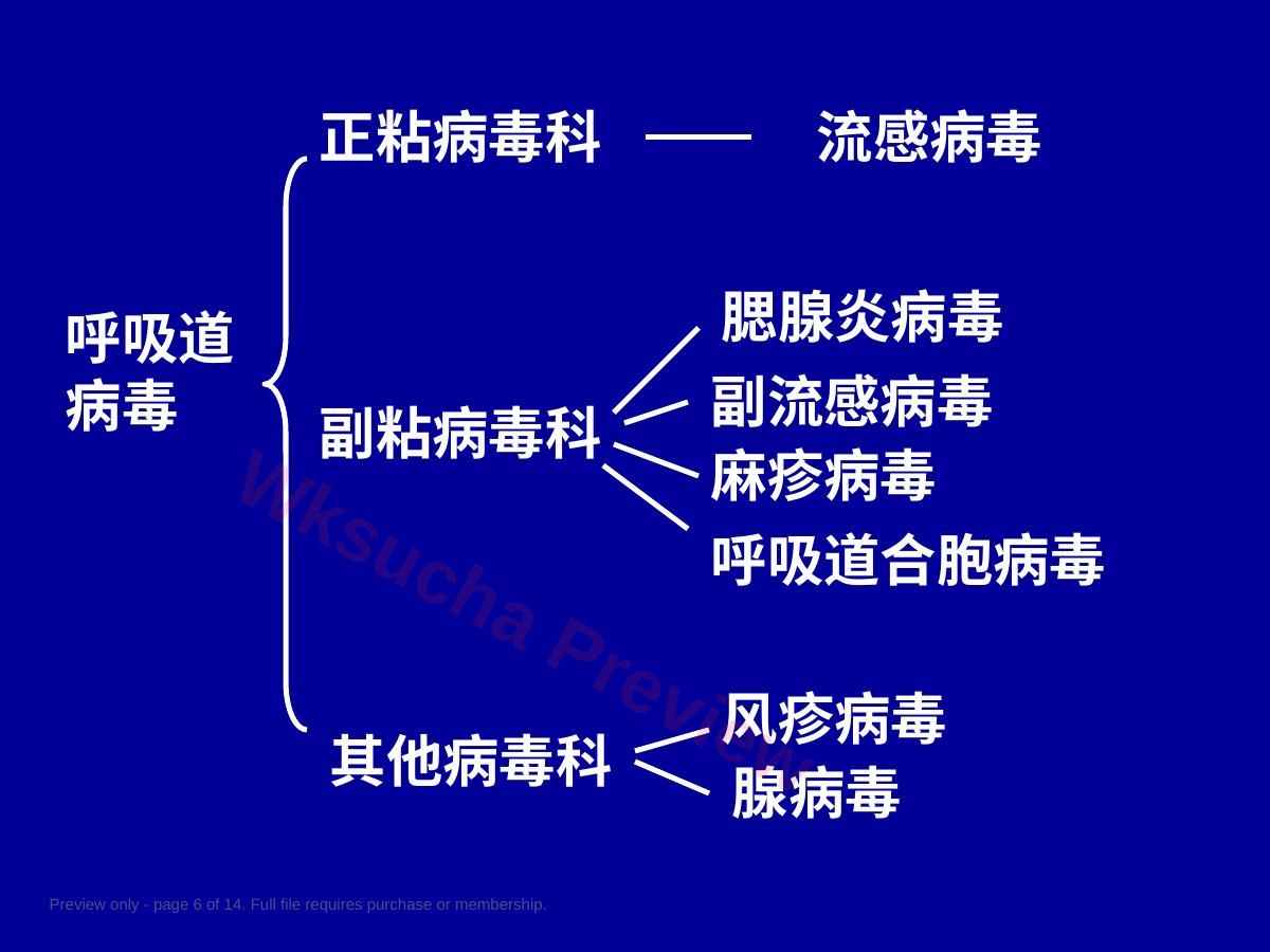 预览第 6 页