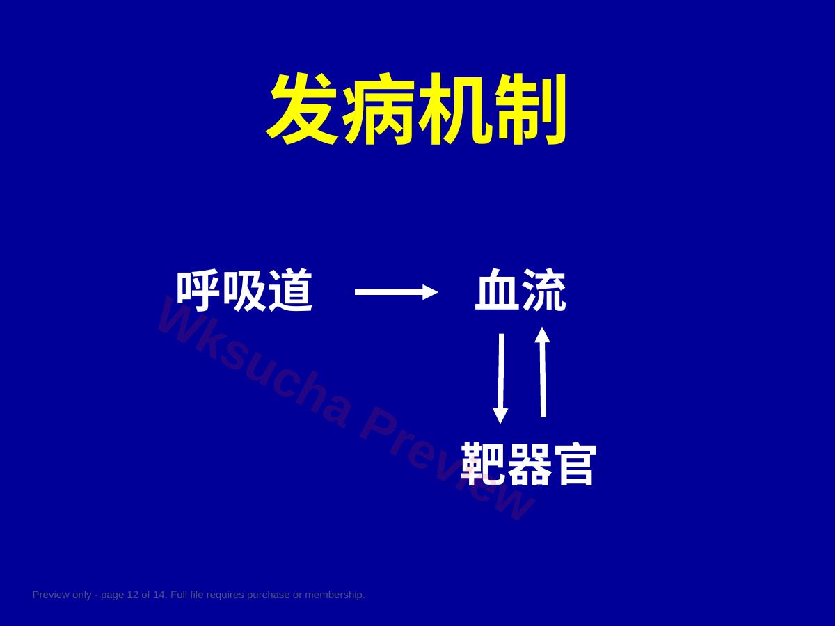 预览第 12 页