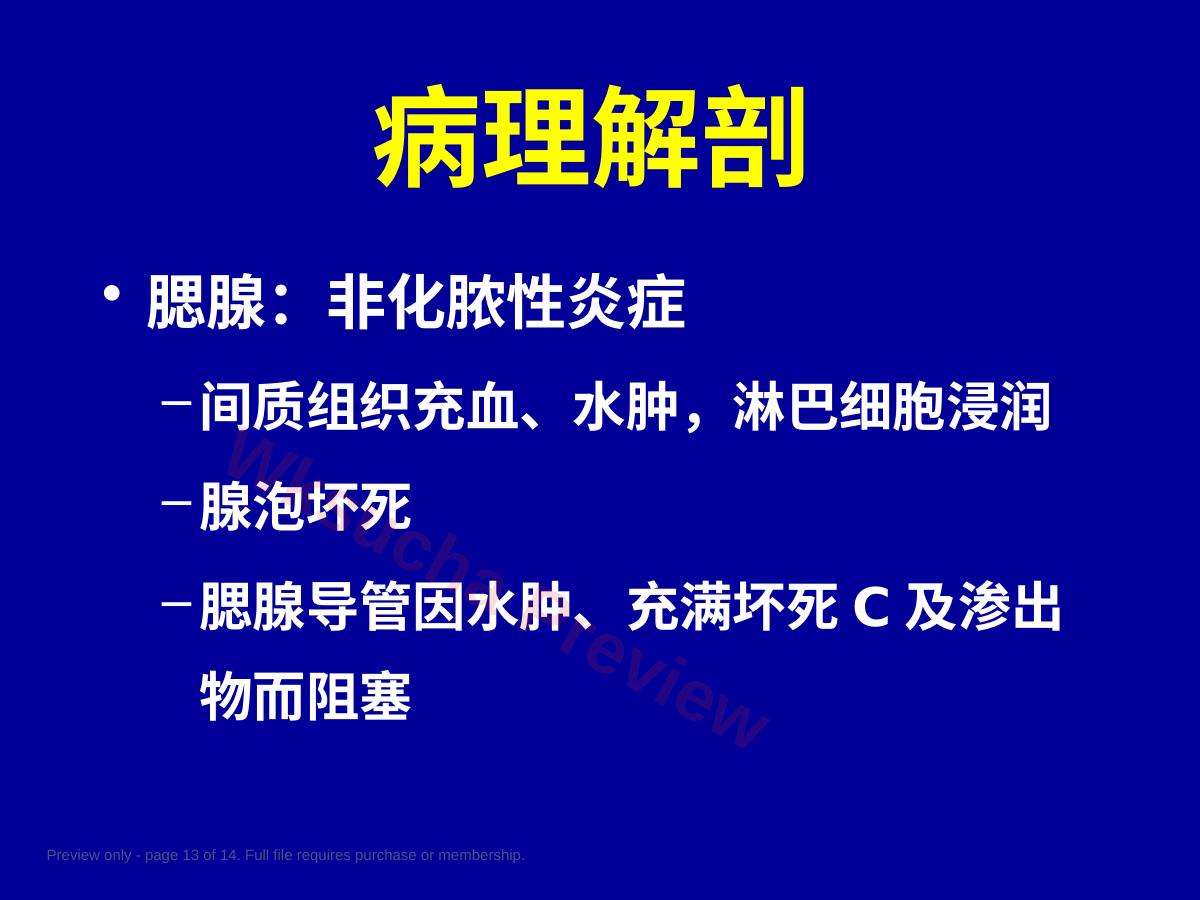 预览第 13 页