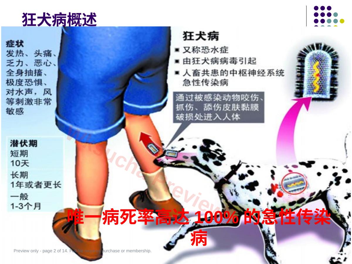 预览第 2 页