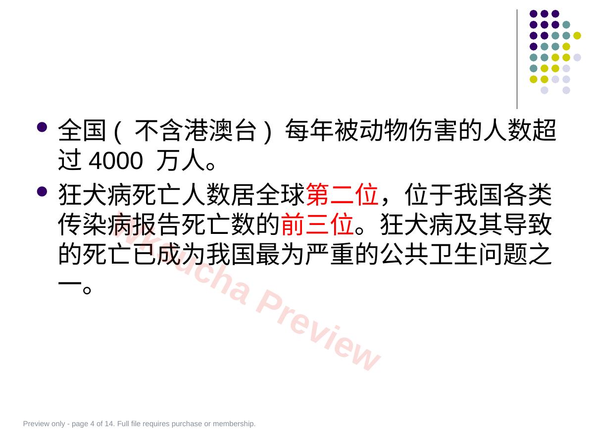 预览第 4 页
