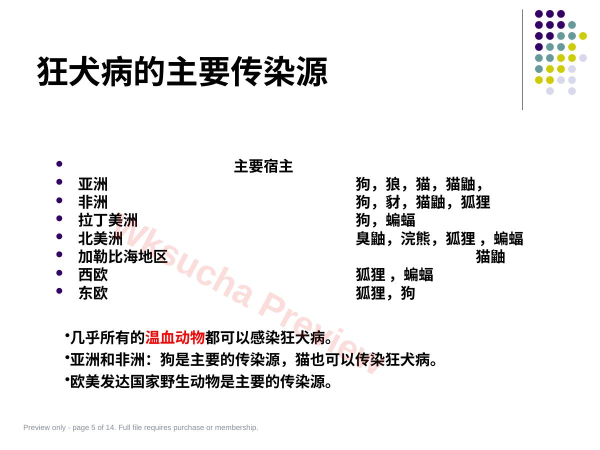 预览第 5 页