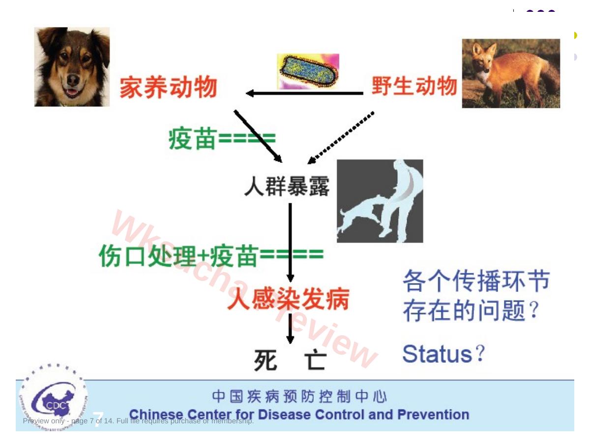预览第 7 页