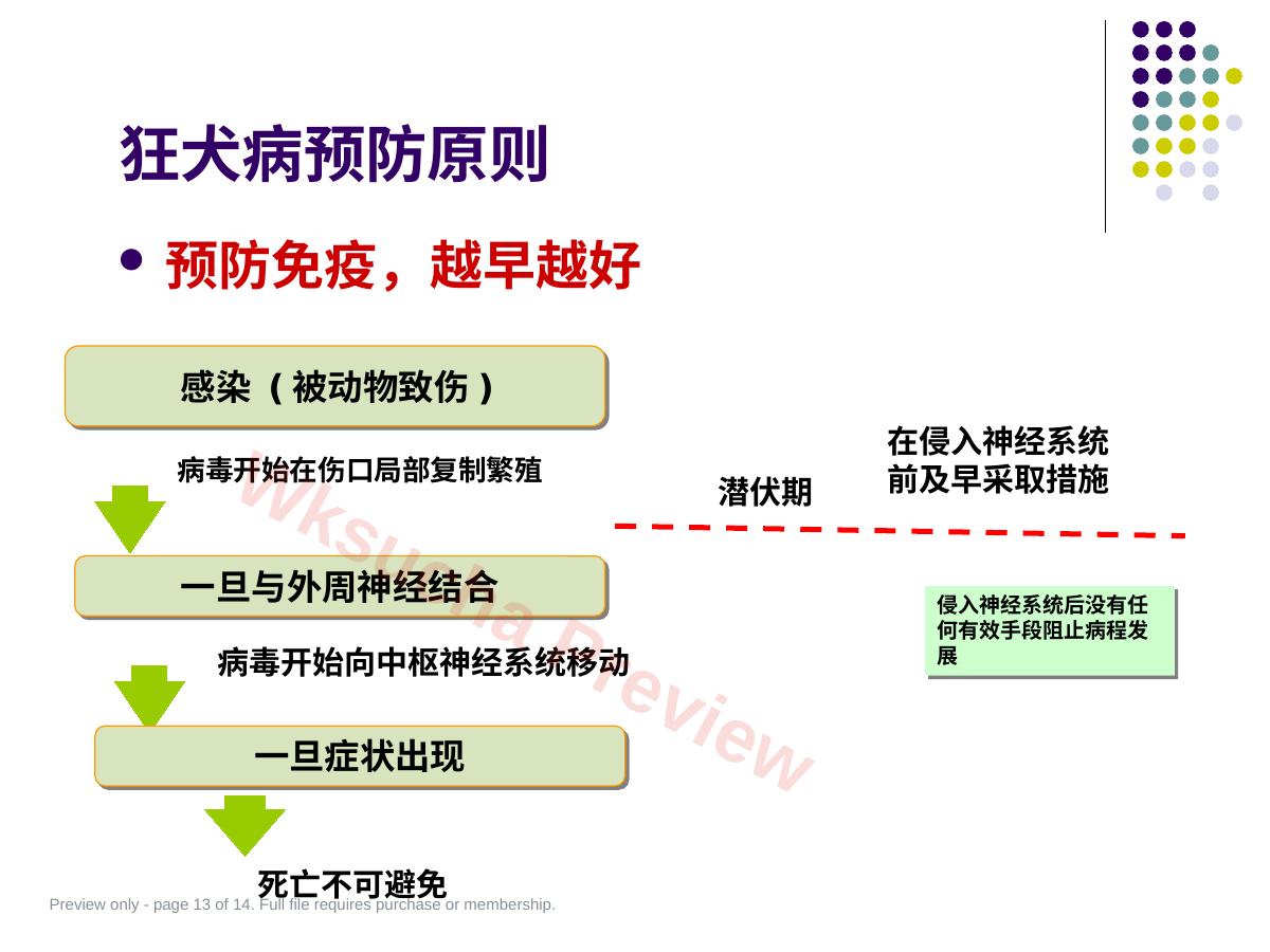 预览第 13 页