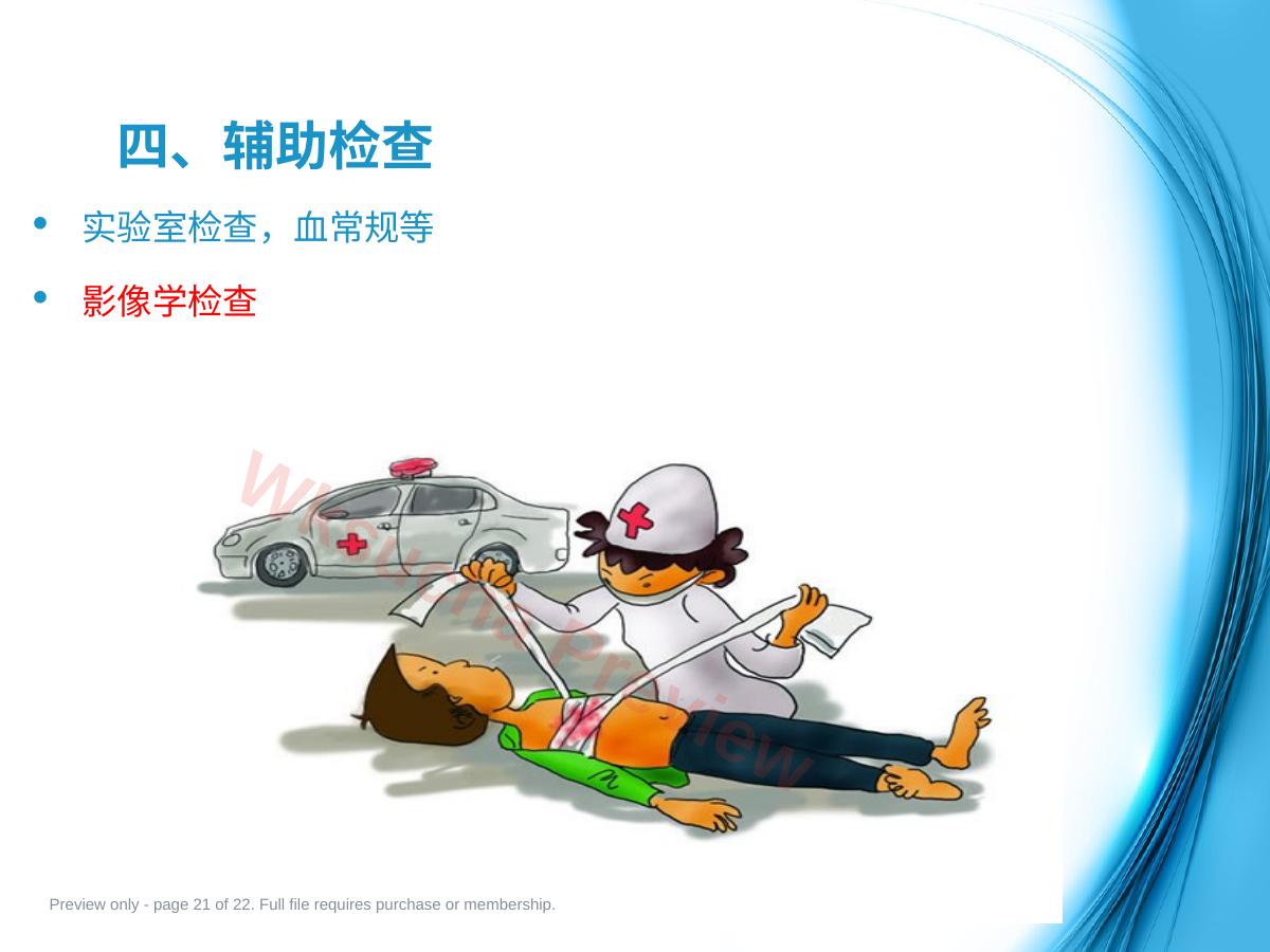 预览第 21 页