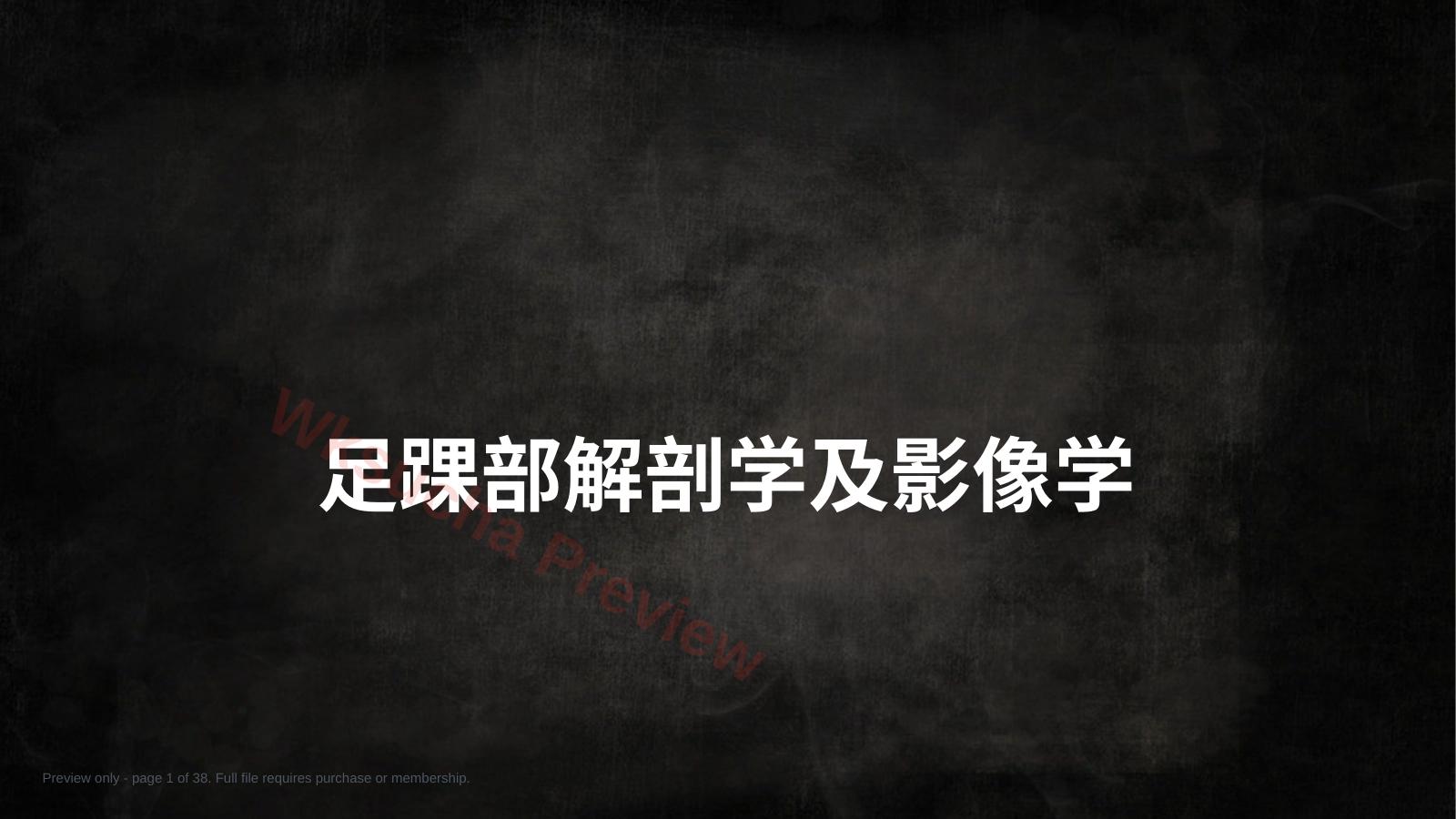 足踝解剖