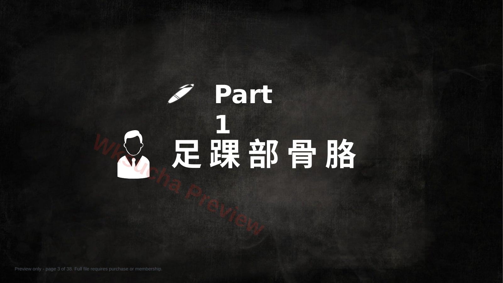 预览第 3 页