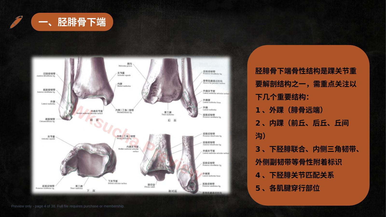 预览第 4 页