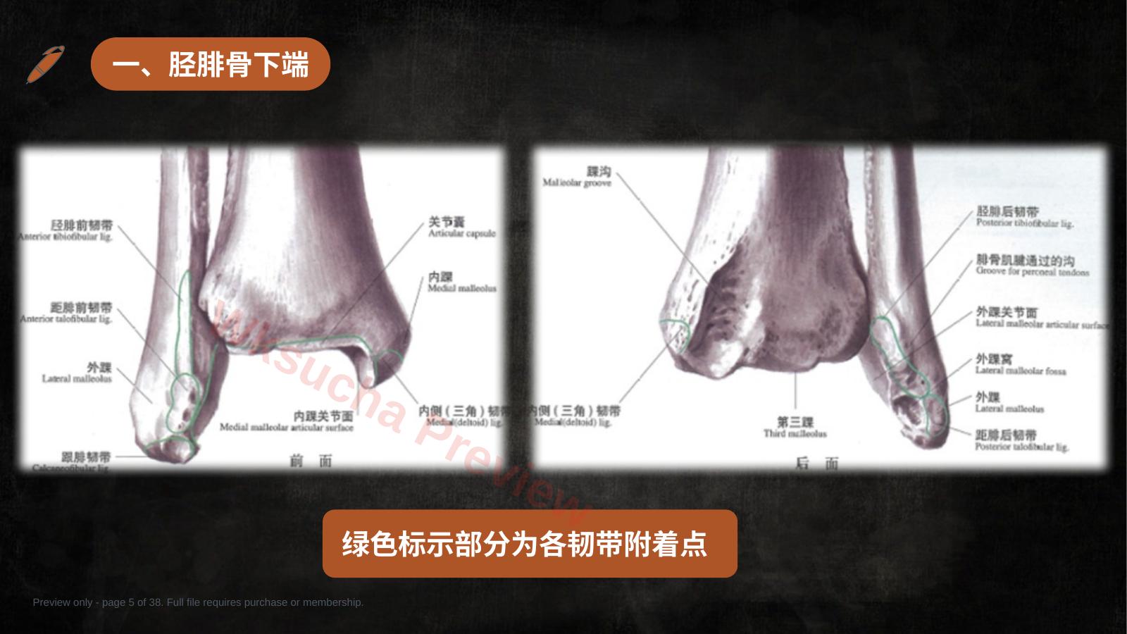 预览第 5 页