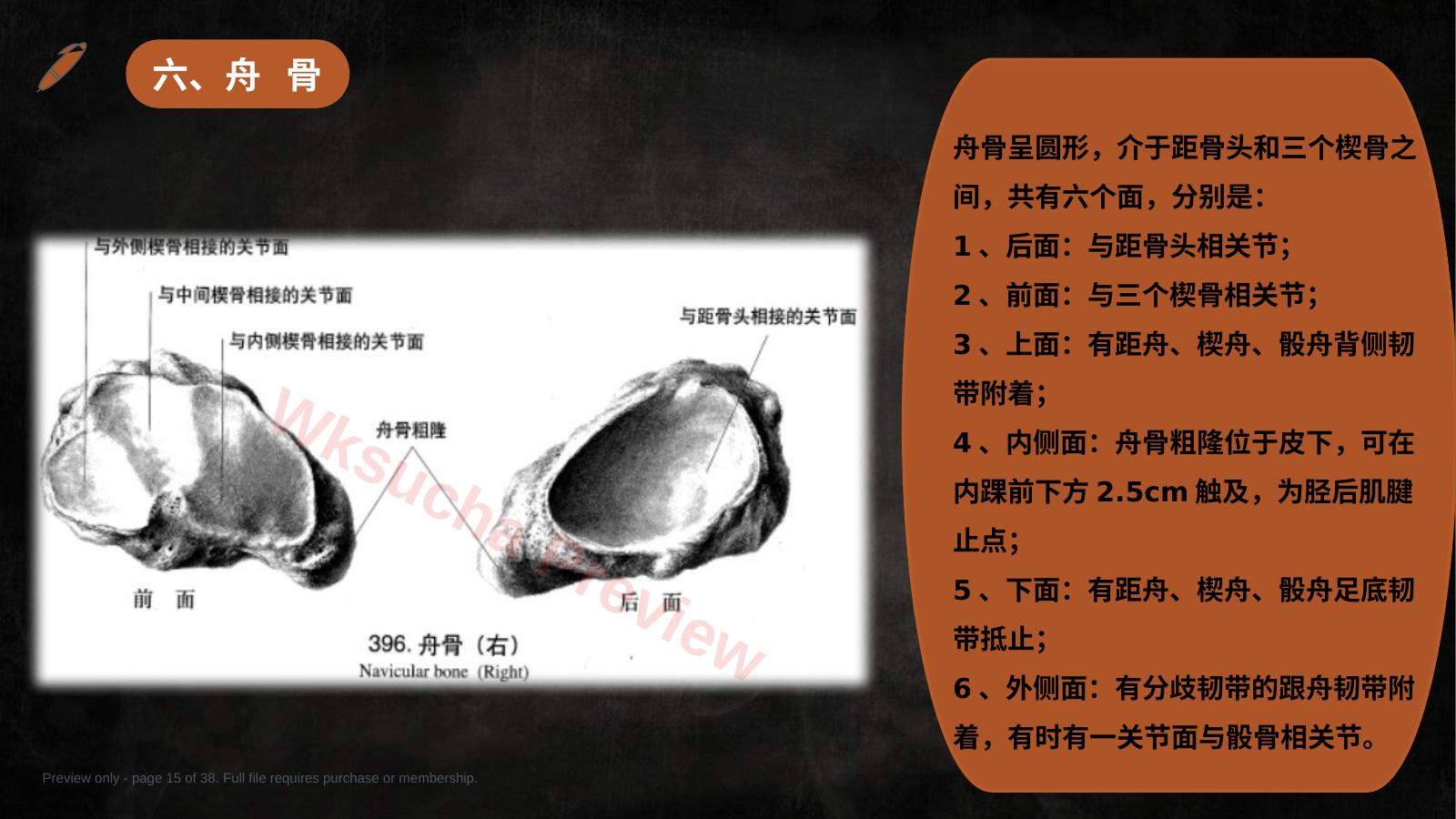 预览第 15 页