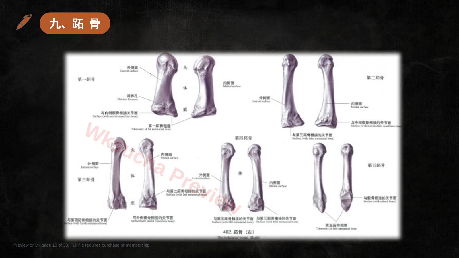 预览第 18 页