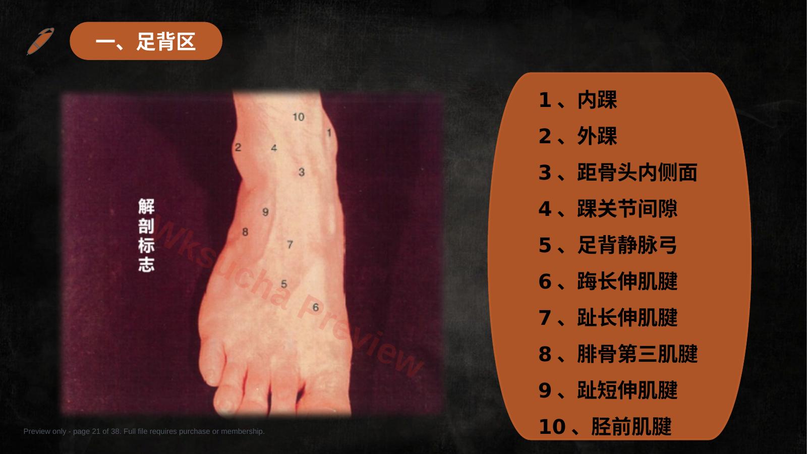 预览第 21 页