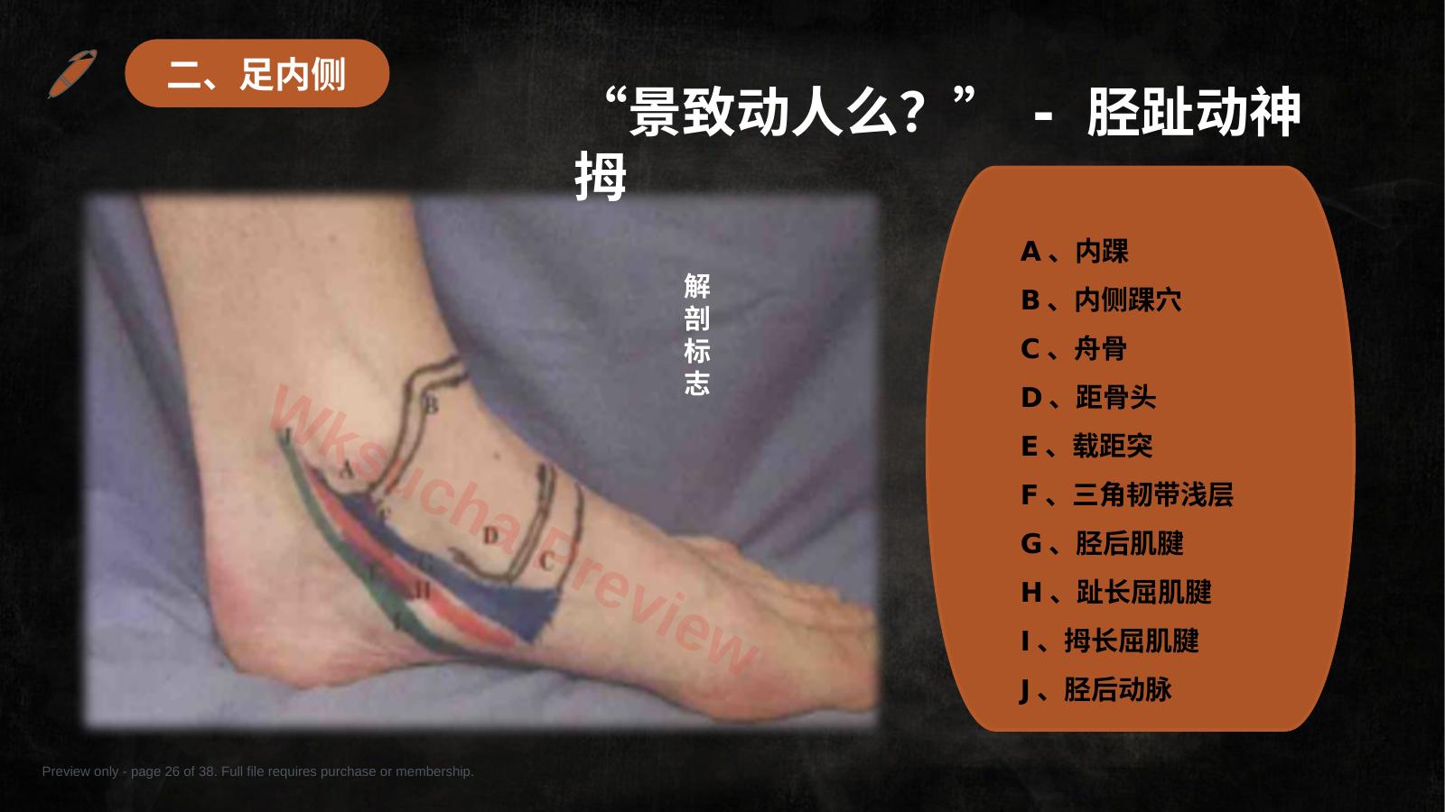 预览第 26 页
