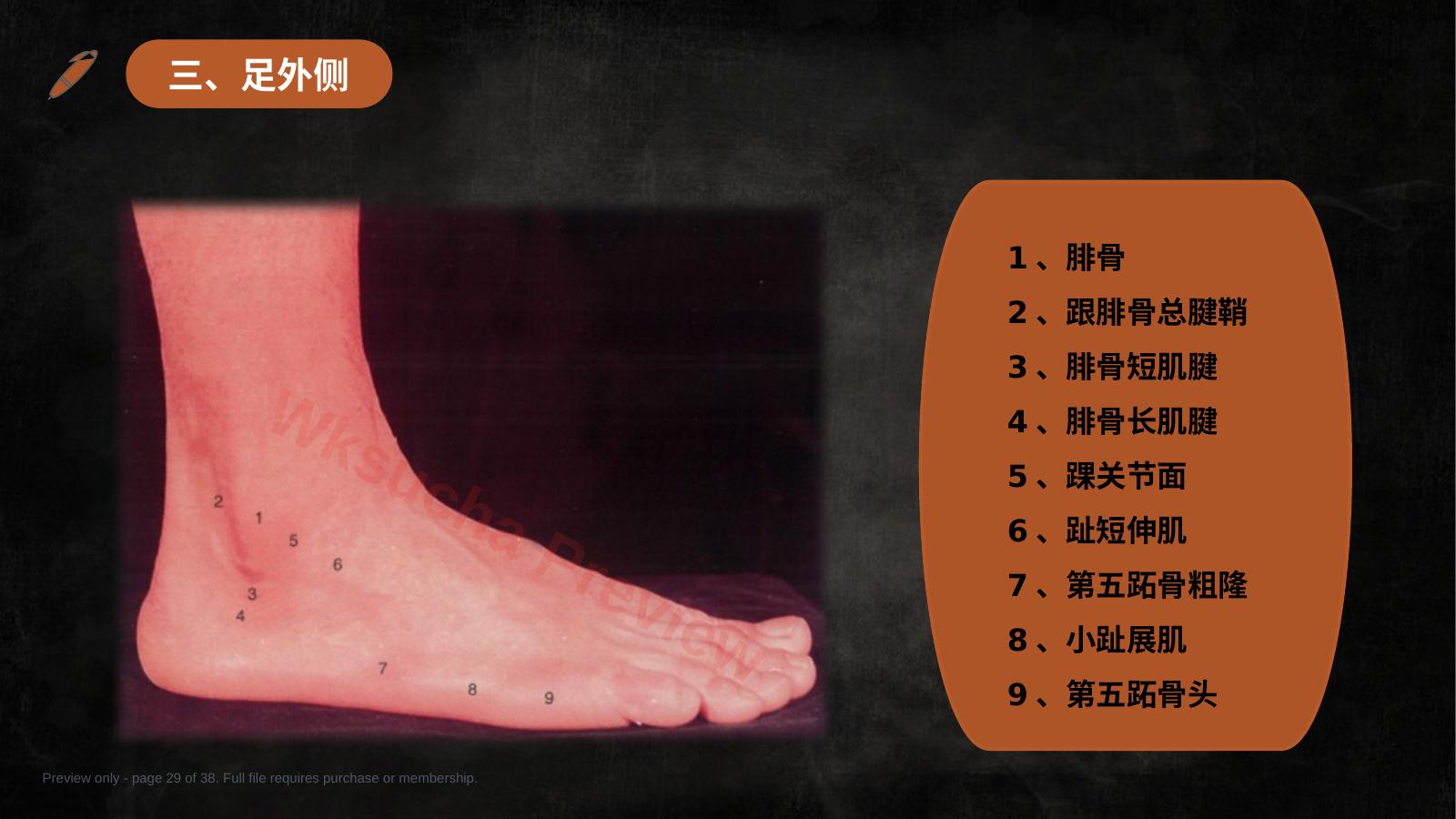 预览第 29 页