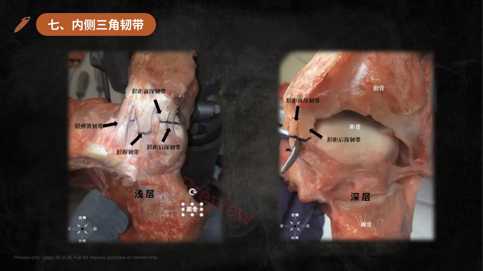 预览第 38 页