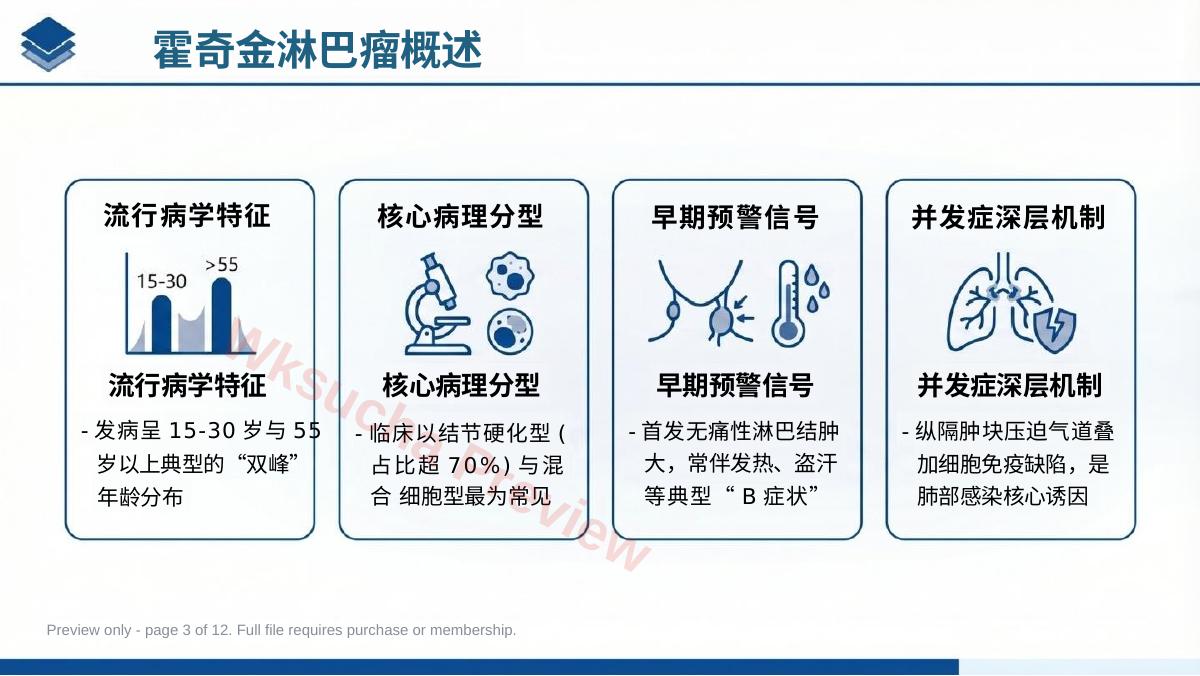 预览第 3 页