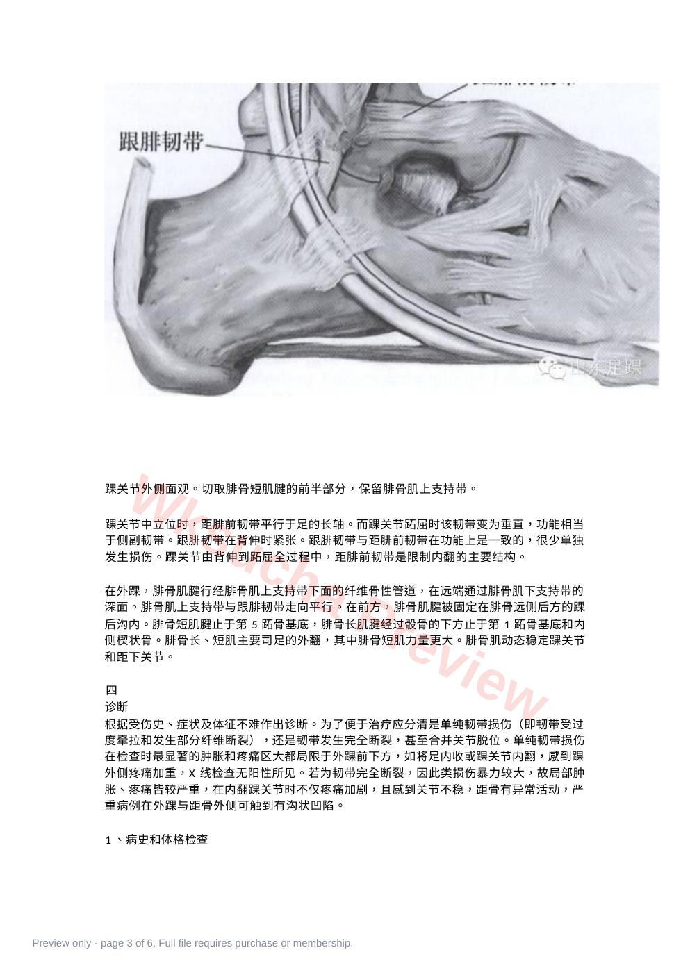 预览第 3 页