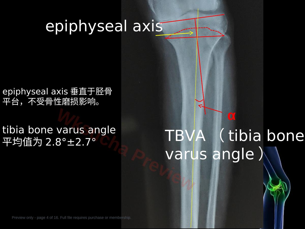 预览第 4 页