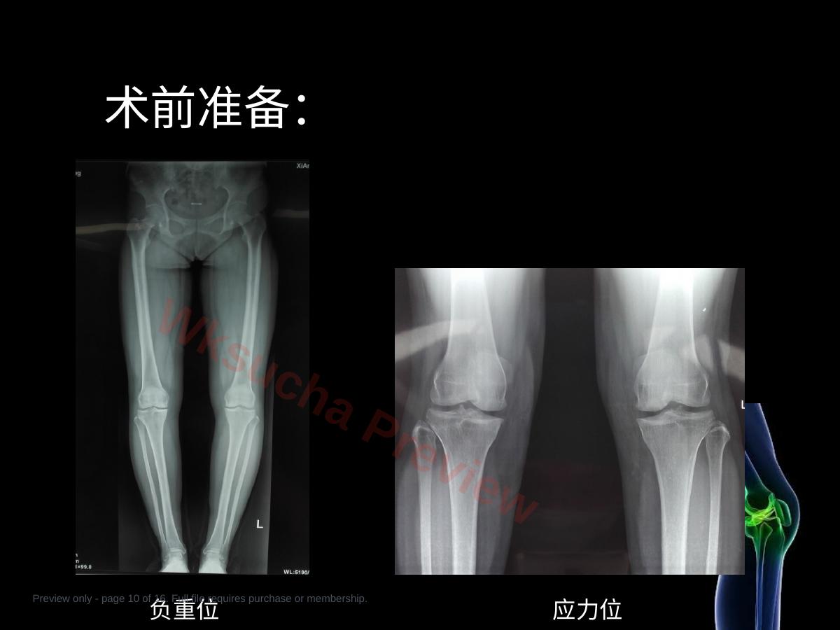 预览第 10 页