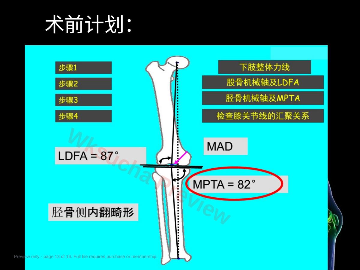 预览第 13 页