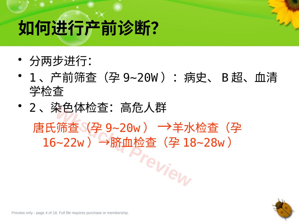 预览第 4 页