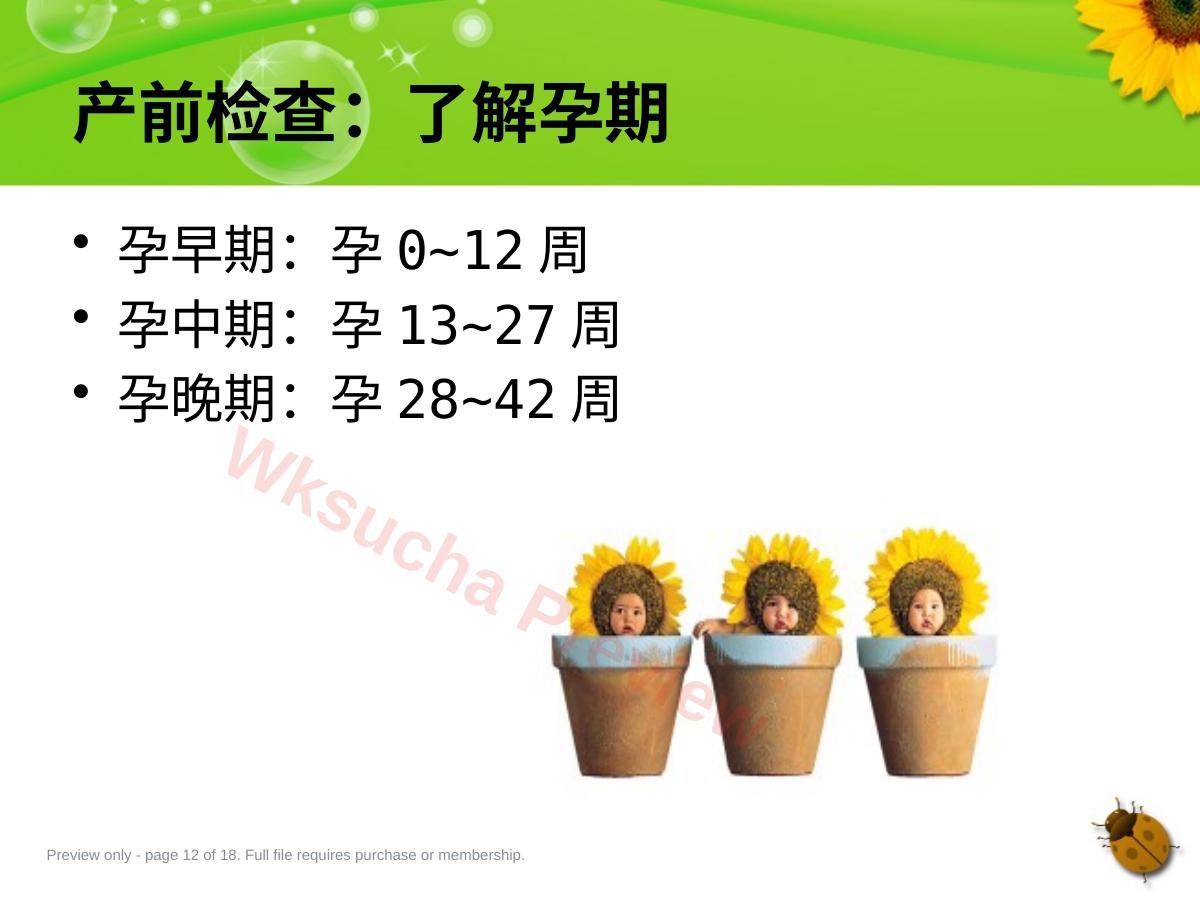 预览第 12 页