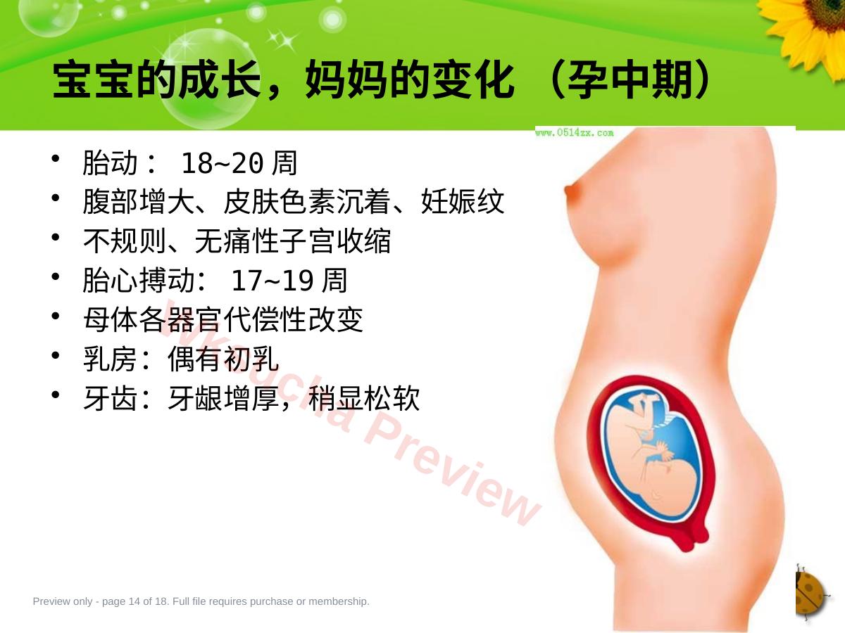 预览第 14 页