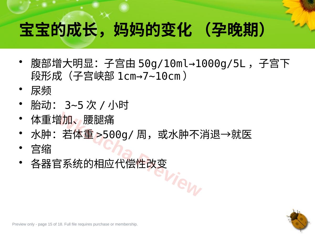 预览第 15 页