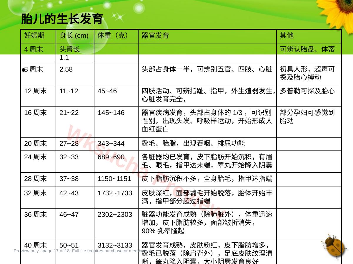 预览第 17 页