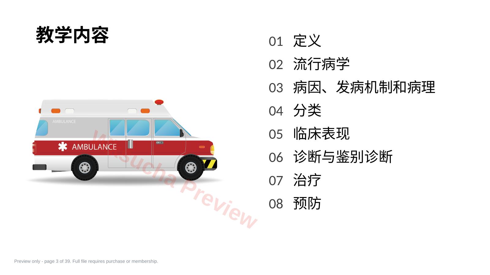 预览第 3 页