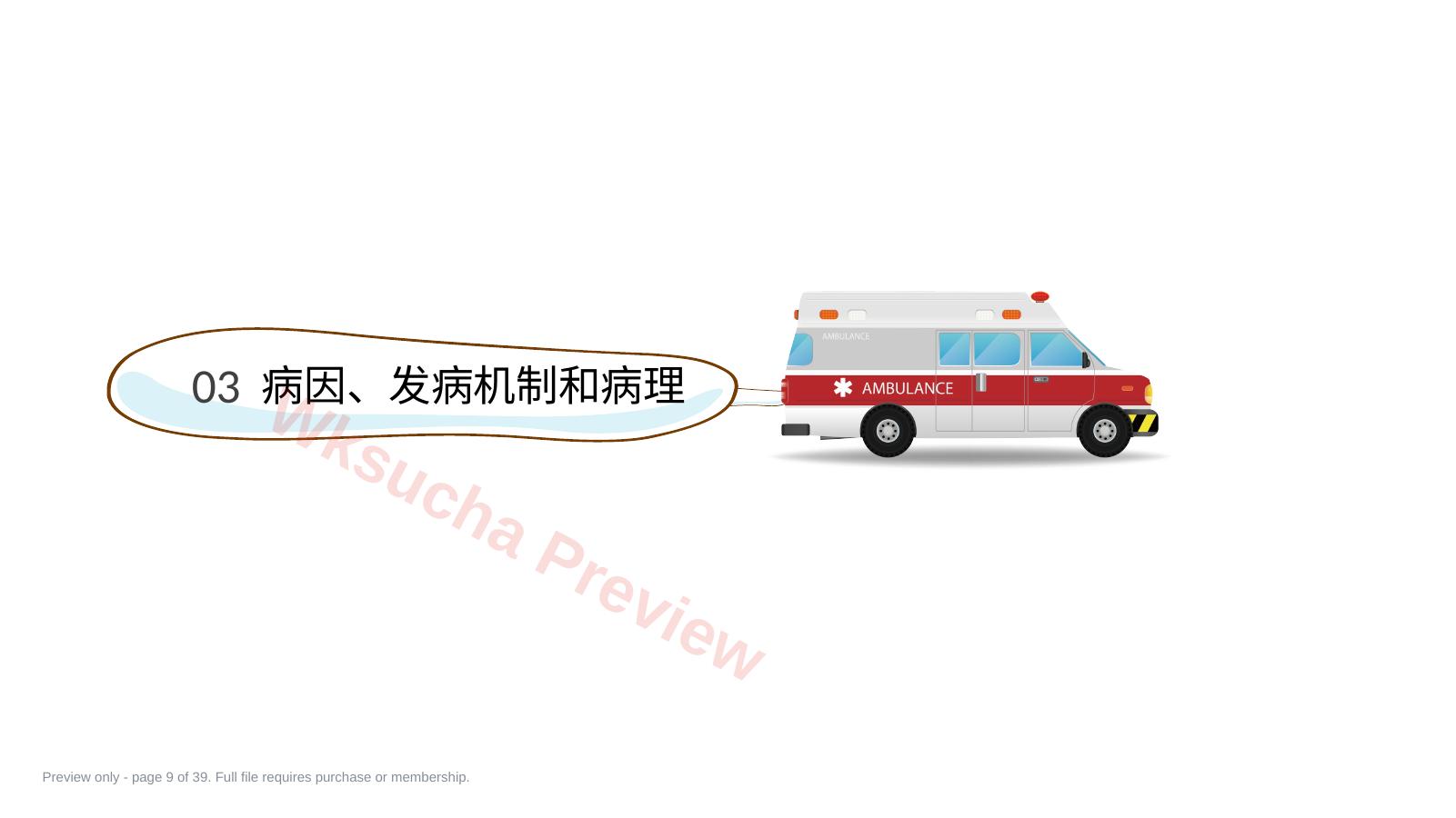 预览第 9 页