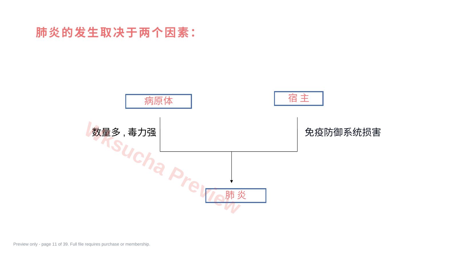 预览第 11 页