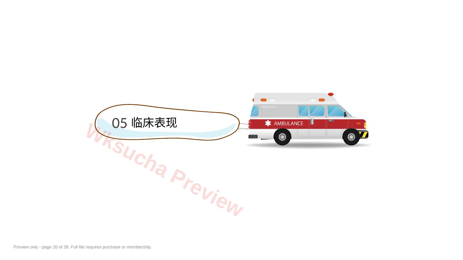 预览第 26 页