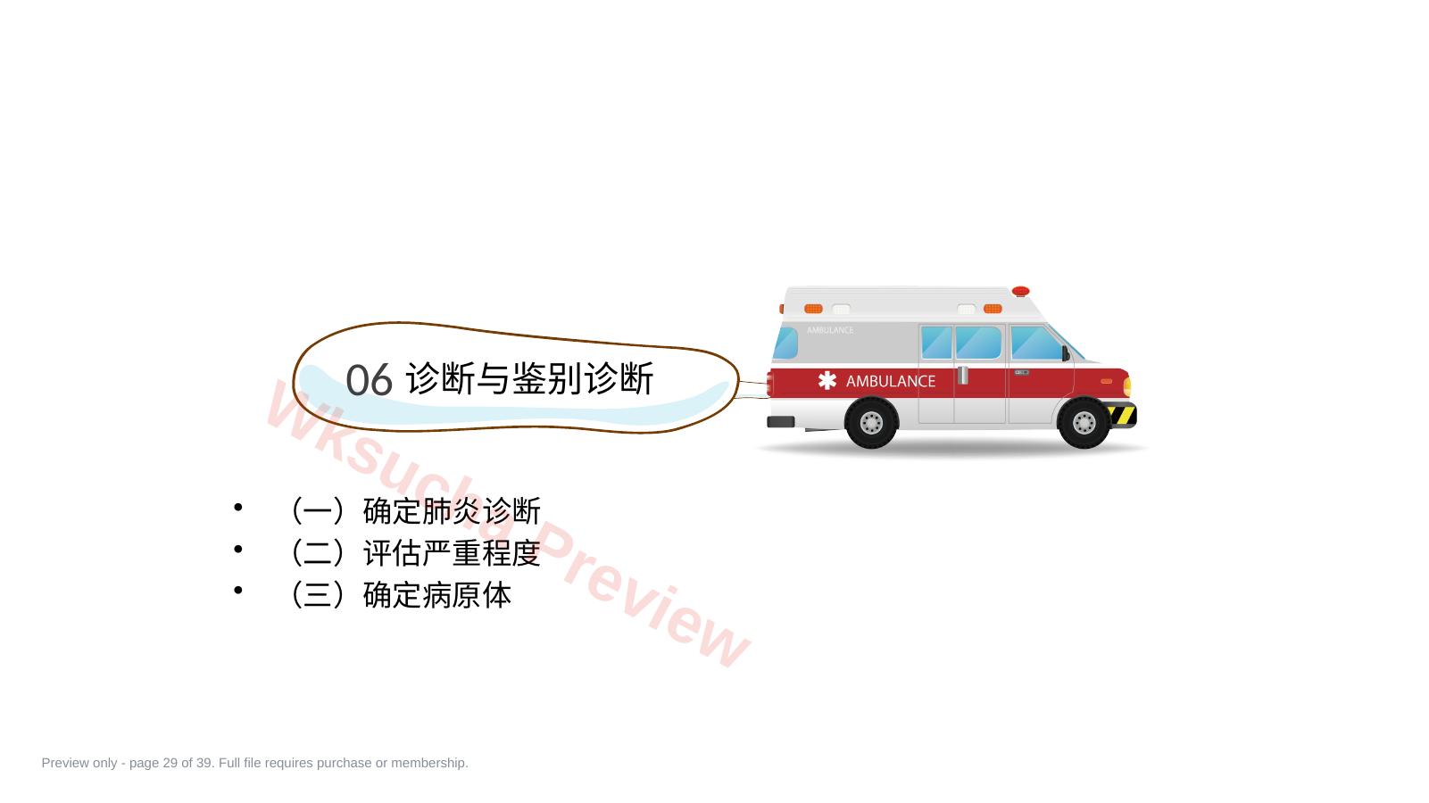 预览第 29 页