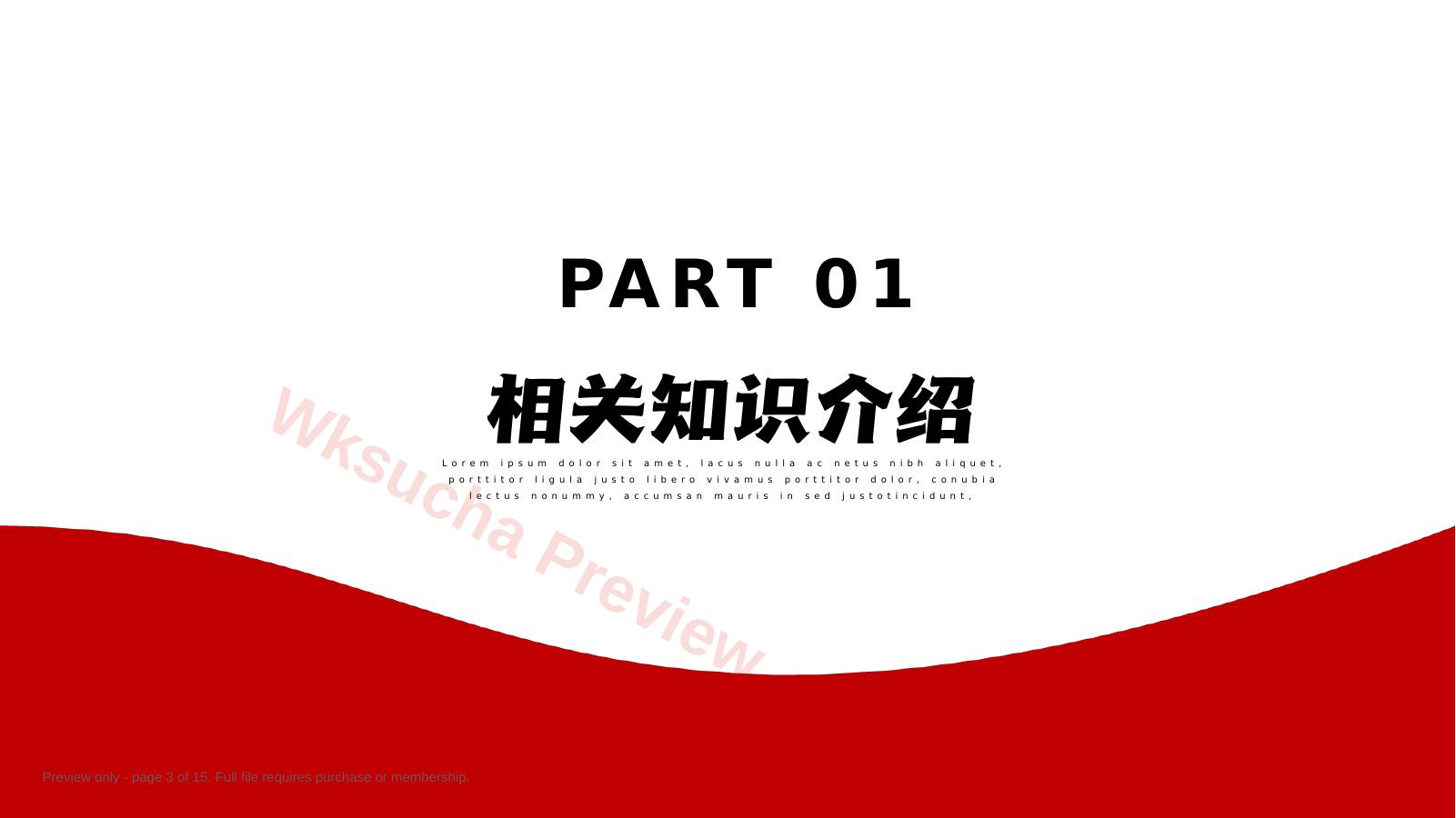 预览第 3 页