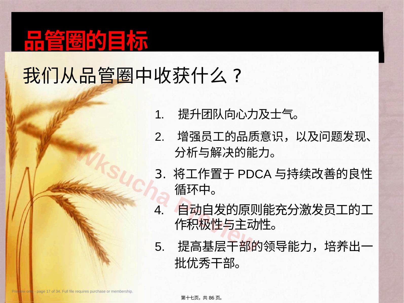 预览第 17 页