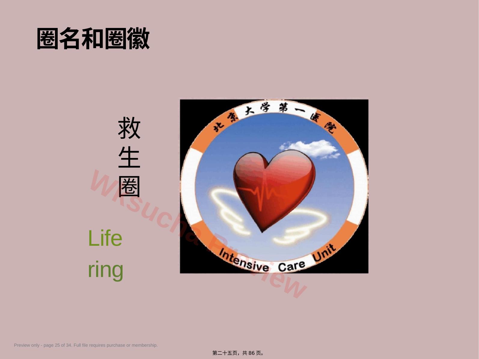 预览第 25 页