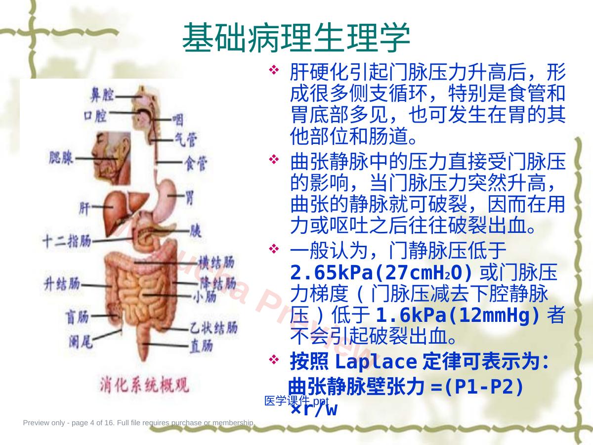 预览第 4 页