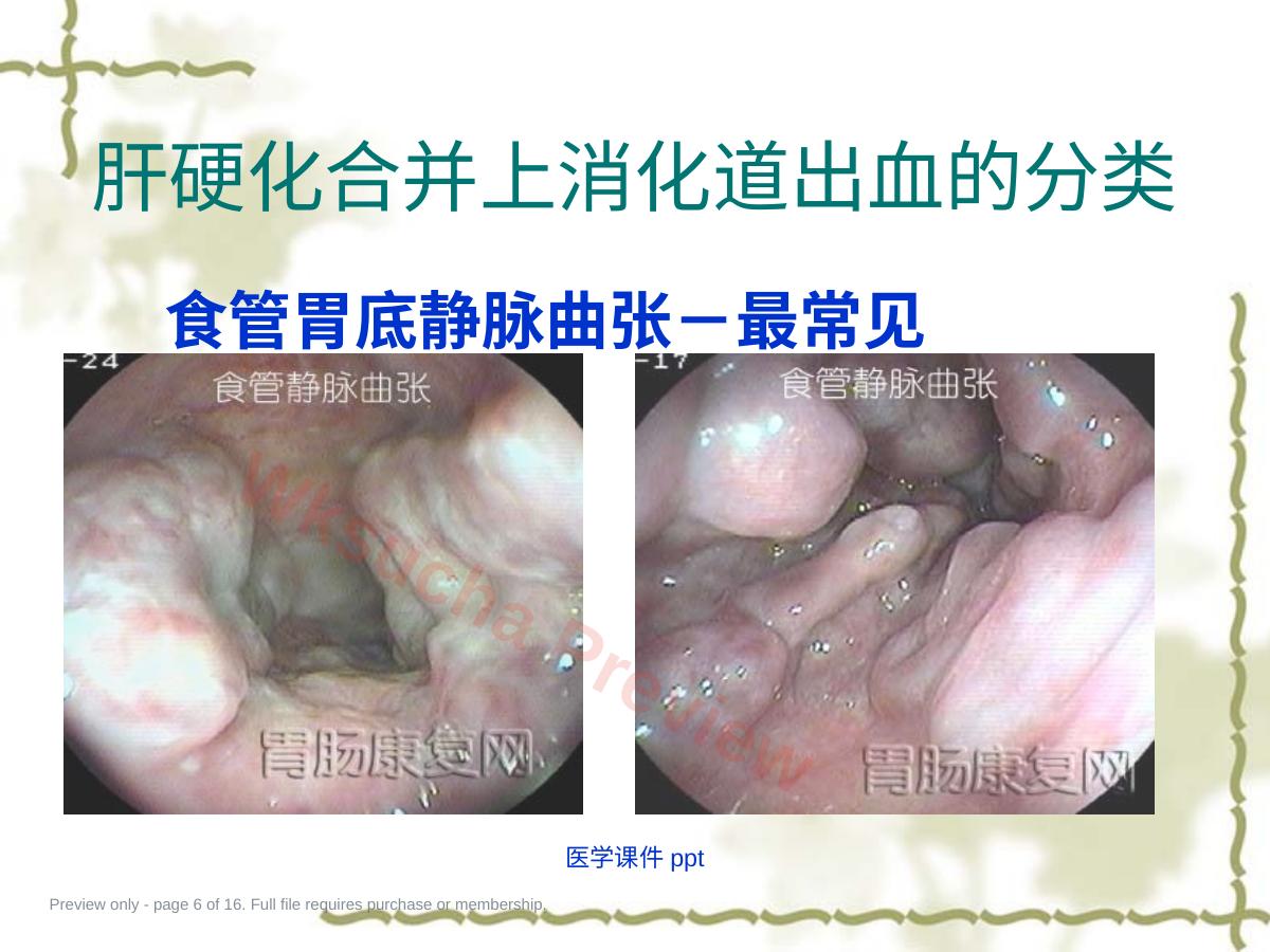 预览第 6 页