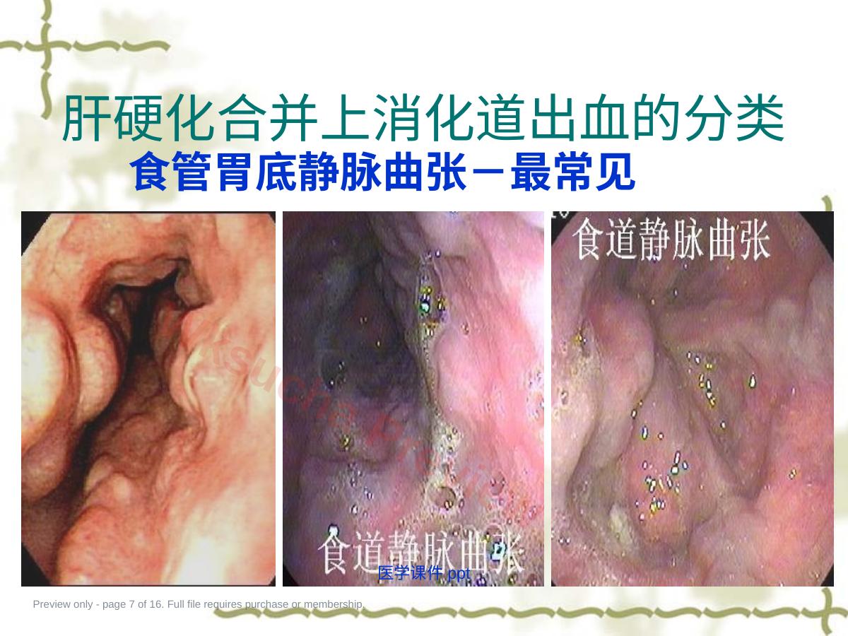 预览第 7 页