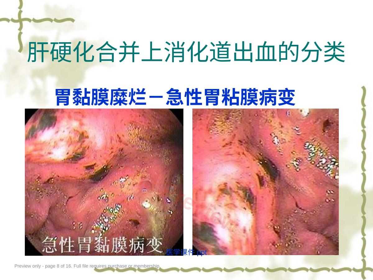 预览第 8 页