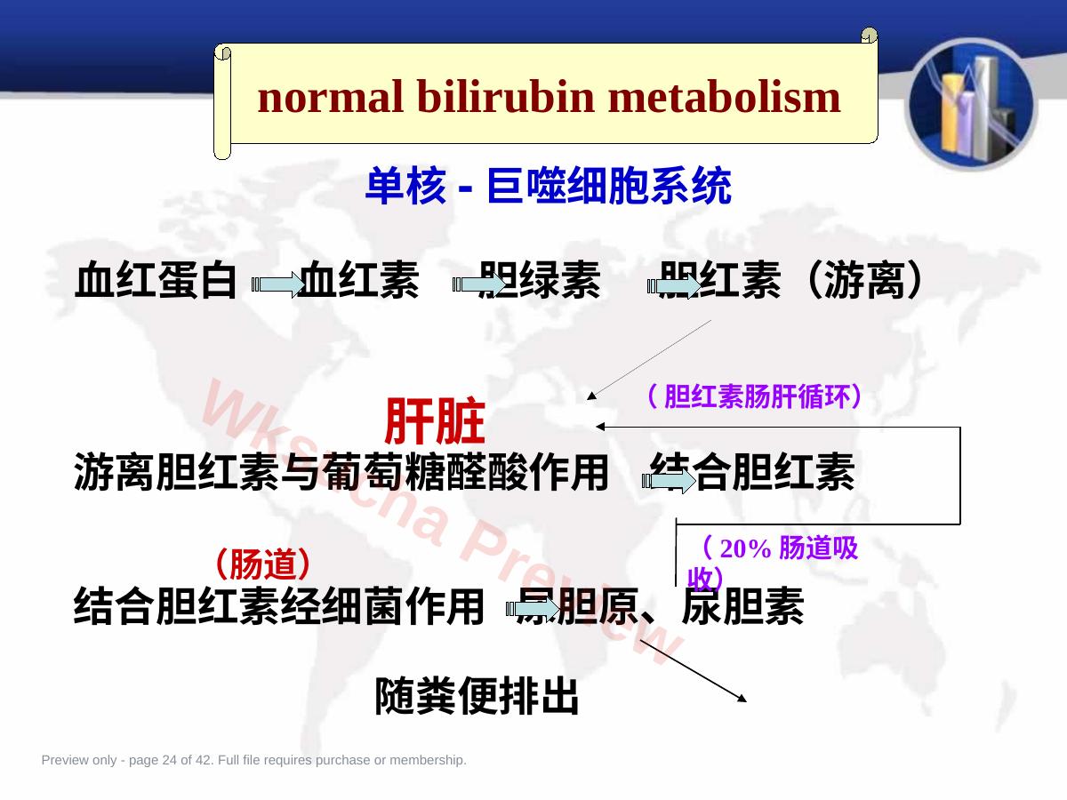 预览第 24 页