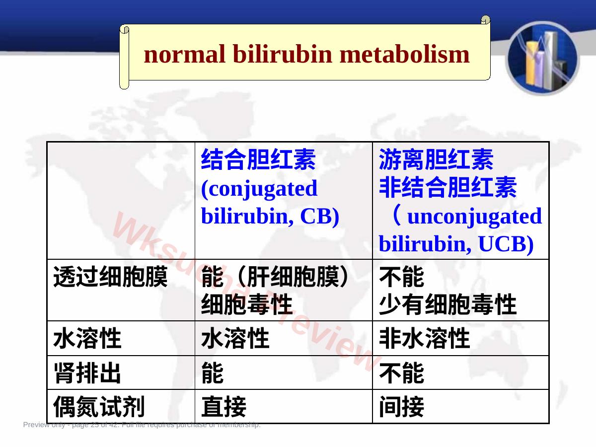 预览第 25 页