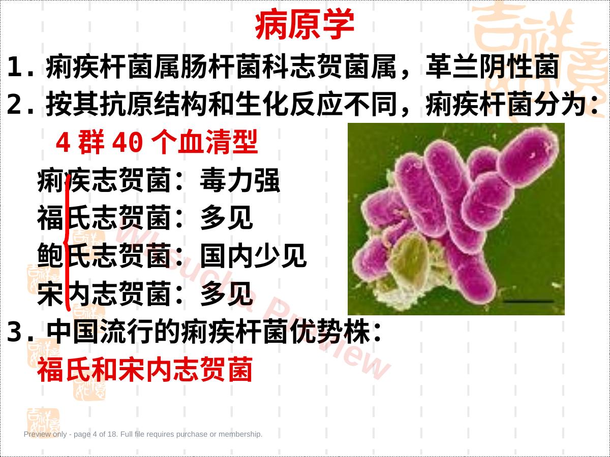 预览第 4 页